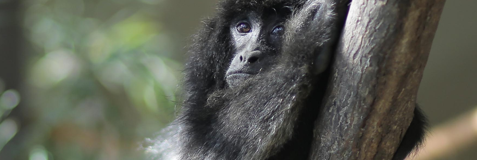 CONOCÉ MÁS SOBRE EL CENTRO DE RECUPERACIÓN DE ESPECIES