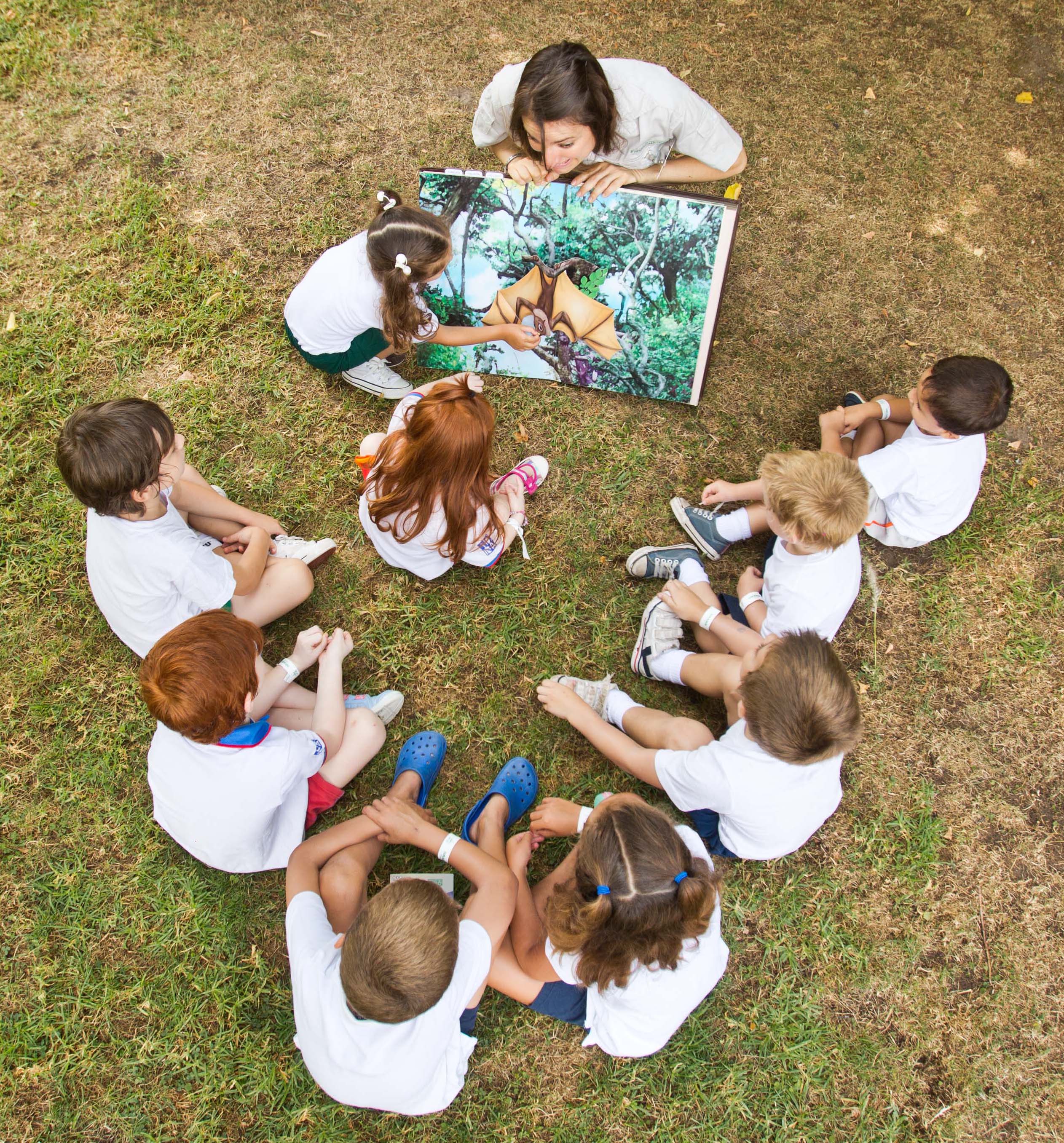 Becas educativas anuales