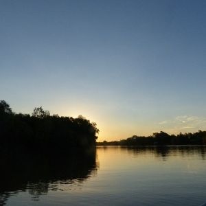 Humedales, ecosistemas vitales para la vida en el planeta