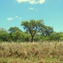 Se suman más tierras de valor al Corredor Teyú Cuaré