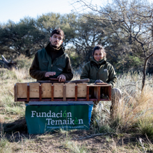 DÍA MUNDIAL DE LA VIDA SILVESTRE: EL TRABAJO EN RED ES FUNDAMENTAL PARA LA CONSERVACIÓN DE LAS...