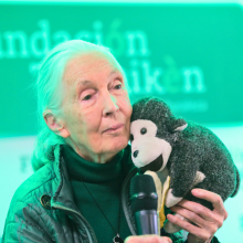 Jane Goodall en Temaikèn: Esperanza en Acción