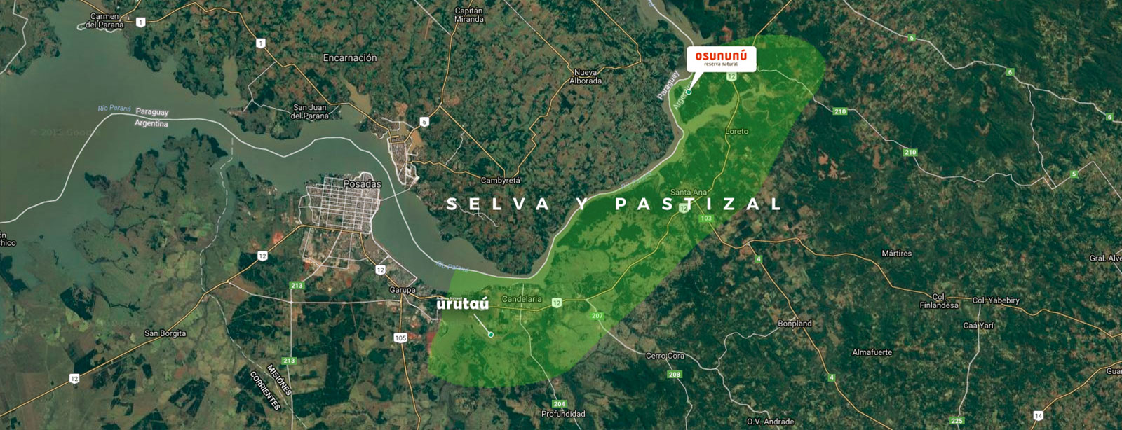 PROGRAMA SELVA Y  PASTIZAL