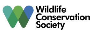 Logo wcs