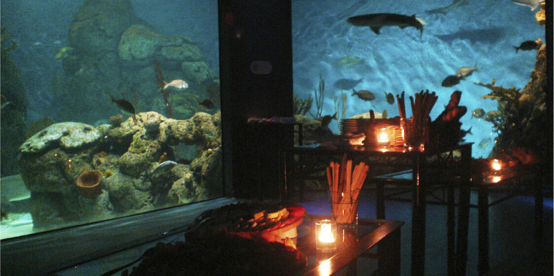 Cocktail en el acuario