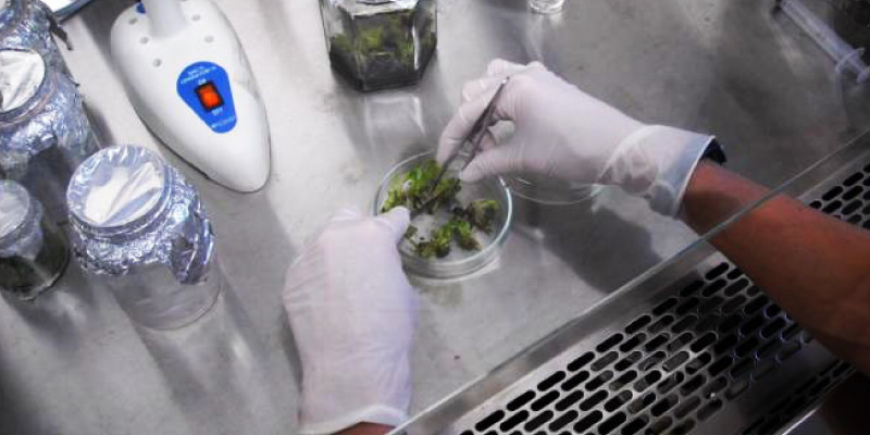 LABORATORIOS
