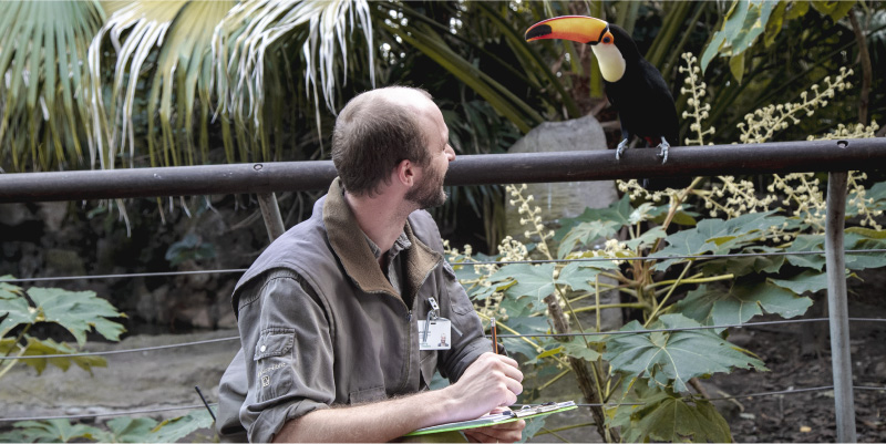 Especialista en Conservación