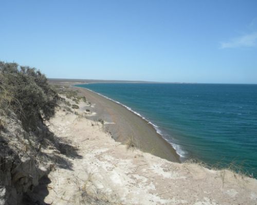 PROYECTO MAR PATAGÓNICO
