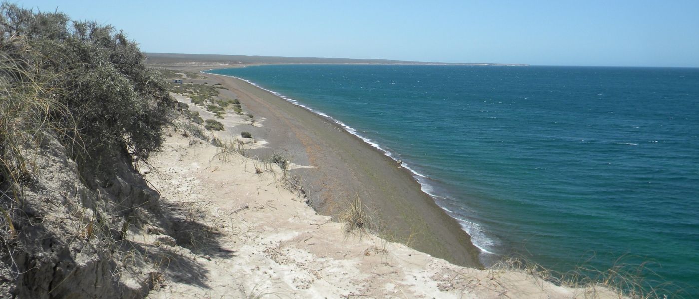 PROYECTO MAR PATAGÓNICO