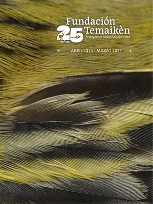 Annual Report (versión inglés)